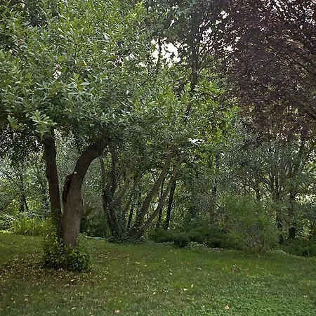 Casale Del Monsignore
